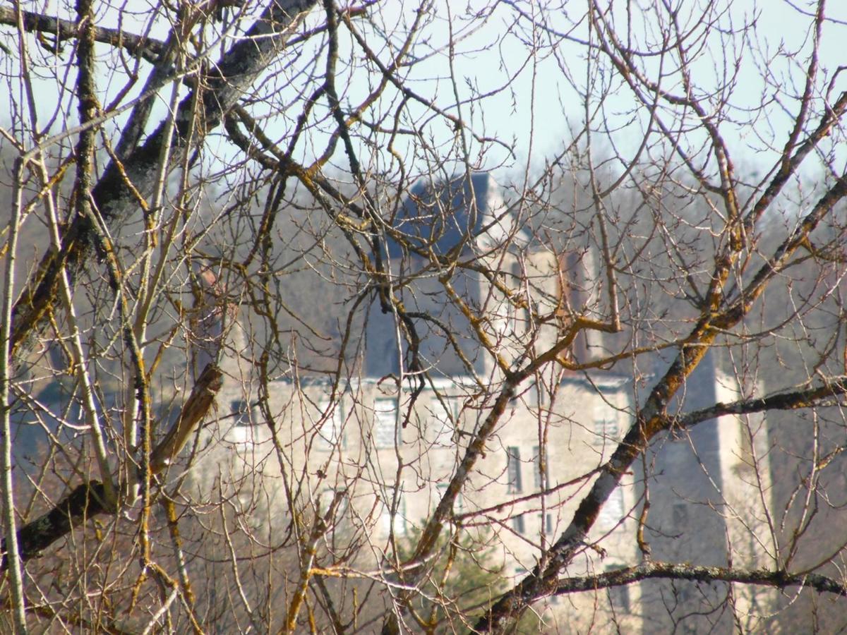 Gite Et Chambres D'Hotes Les Terrasses De Gaumier Gaumiers Bagian luar foto